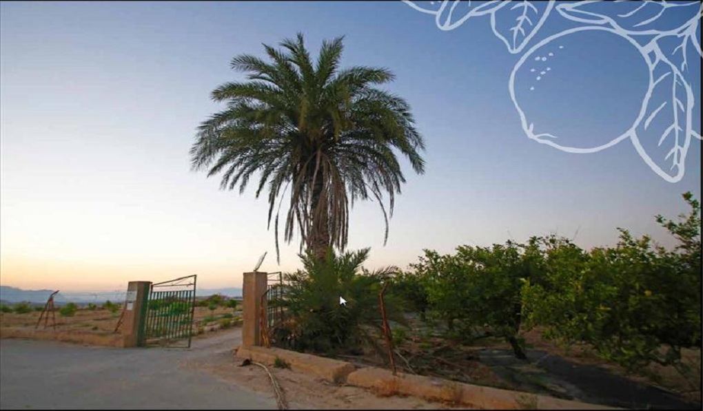 Land Land for Sale in Algorfa