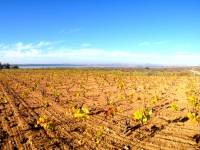 2a Mano - Terreno Rural - La Mata  - Parque Natural