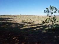 2a Mano - Terreno Rural - La Mata  - Parque Natural