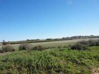 Resale Properties - Country Land - La Mata - Parque Natural