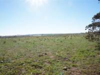 Sale - Country Land - La Mata - Parque Natural