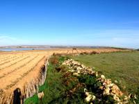 2a Mano - Terreno Rural - La Mata  - Parque Natural