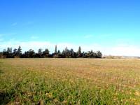 Sale - Country Land - La Mata - Parque Natural