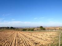 2a Mano - Terreno Rural - La Mata  - Parque Natural