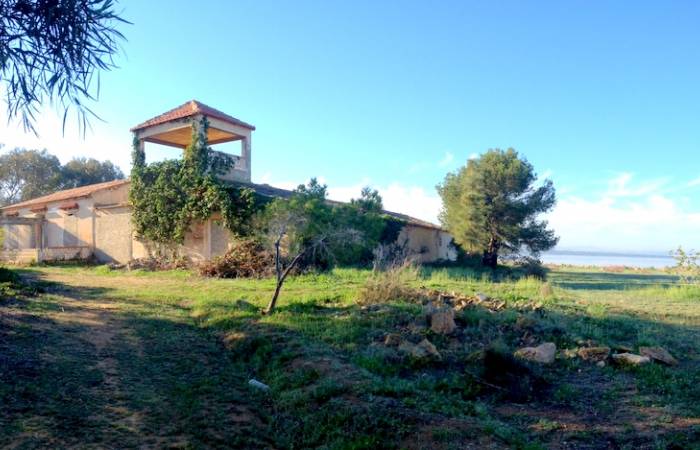 Country Land - Resale Properties - La Mata - Parque Natural